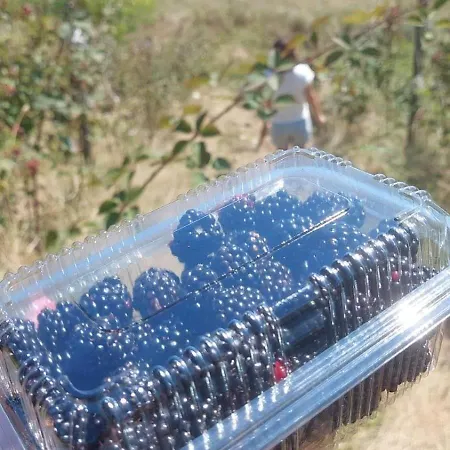 Prenociste Lelic Valjevo