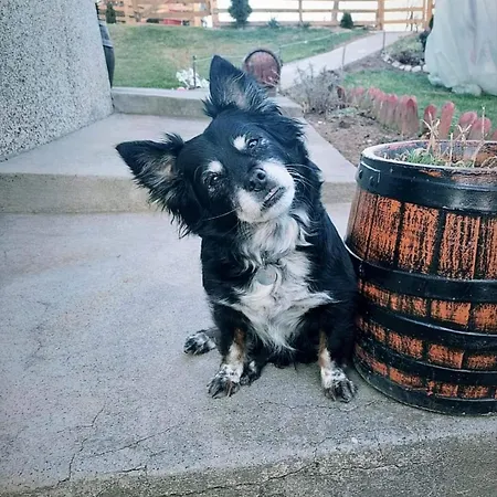 Prenociste Lelic Valjevo