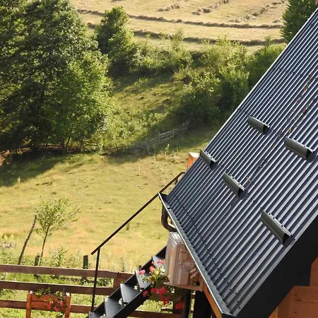 Prenociste Lelic * Valjevo