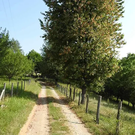 Prenociste Lelic Case de vacanță Valjevo