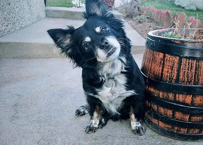 Prenociste Lelic Valjevo